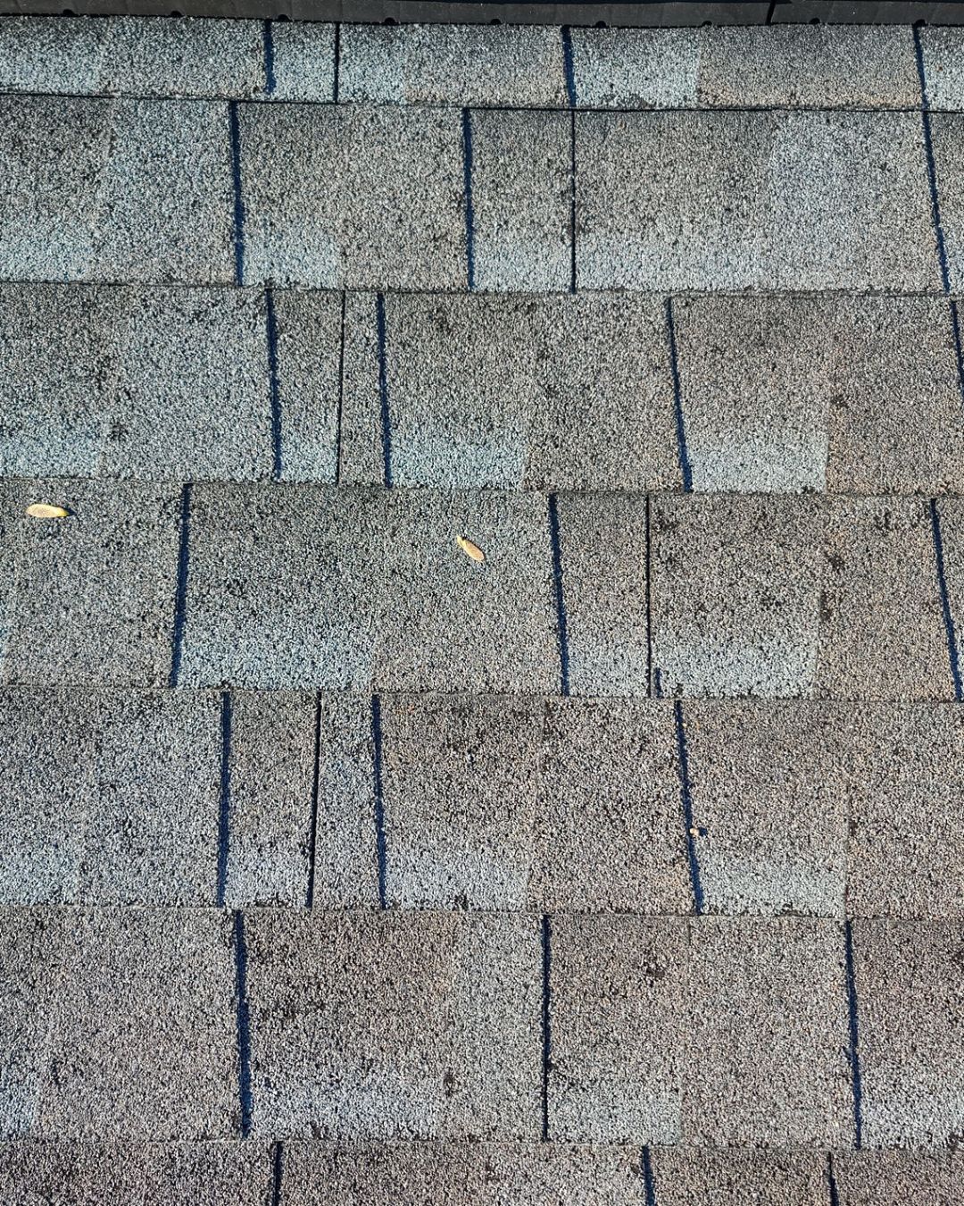 Storm damage