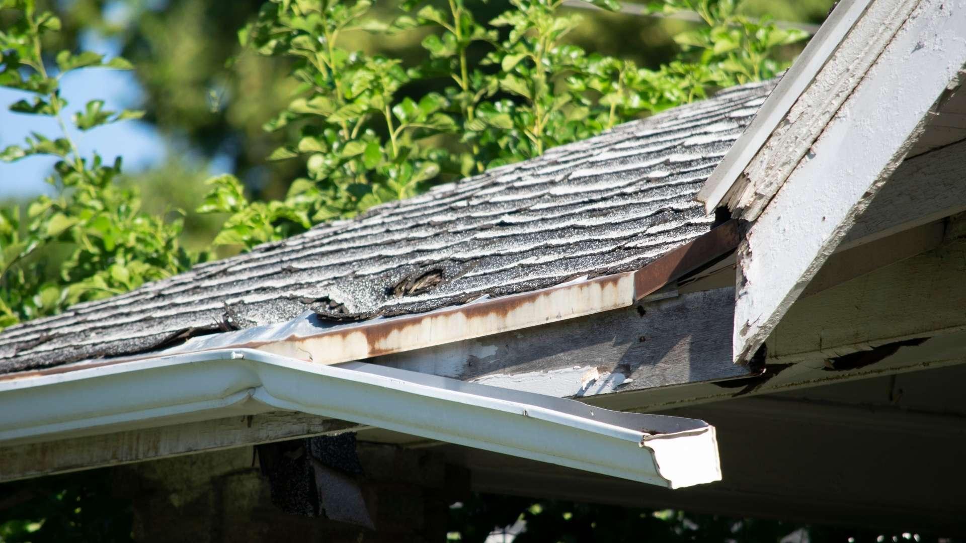 Roof Repair