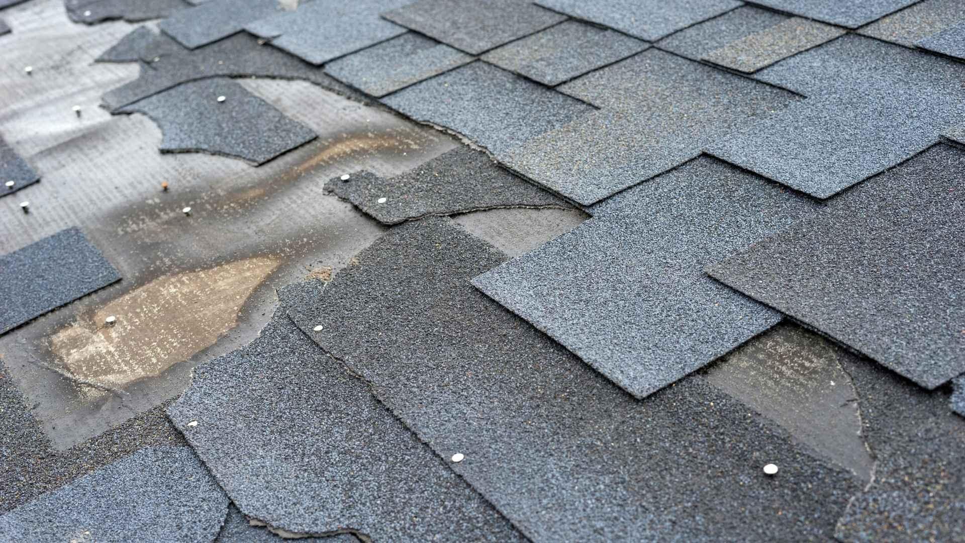 Roof Repair Near Me
