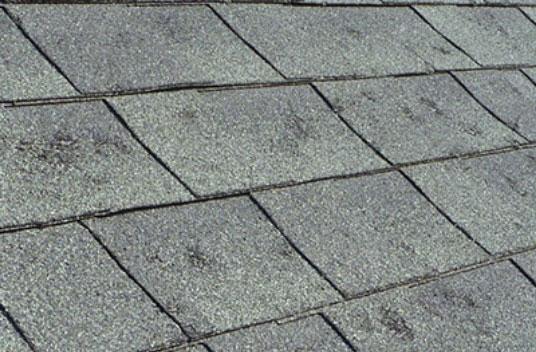complete restoration roof services